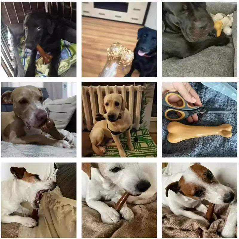 Indestructible Dog Chew Toys - Natural Non-Toxic Anti-Bite Bone for Small Medium Large Dogs - ZOOMNSTORE