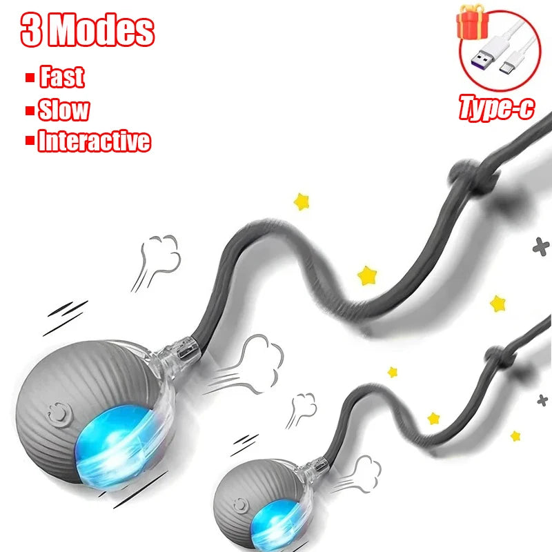 Interactive Cat Toy - Automatic Rolling Ball with Faux Tail Rechargeable Pet Training Device - ZOOMNSTORE