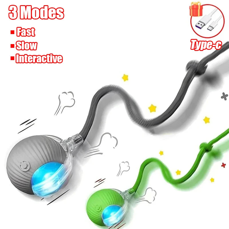 Interactive Cat Toy - Automatic Rolling Ball with Faux Tail Rechargeable Pet Training Device - ZOOMNSTORE