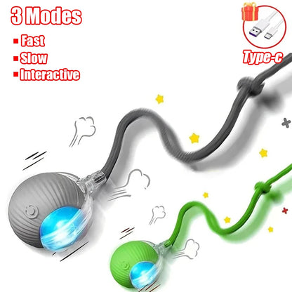 Interactive Cat Toy - Automatic Rolling Ball with Faux Tail Rechargeable Pet Training Device - ZOOMNSTORE