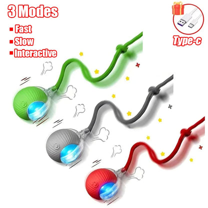 Interactive Cat Toy - Automatic Rolling Ball with Faux Tail Rechargeable Pet Training Device - ZOOMNSTORE