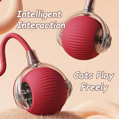 Interactive Cat Toy - Automatic Rolling Ball with Faux Tail Rechargeable Pet Training Device - ZOOMNSTORE