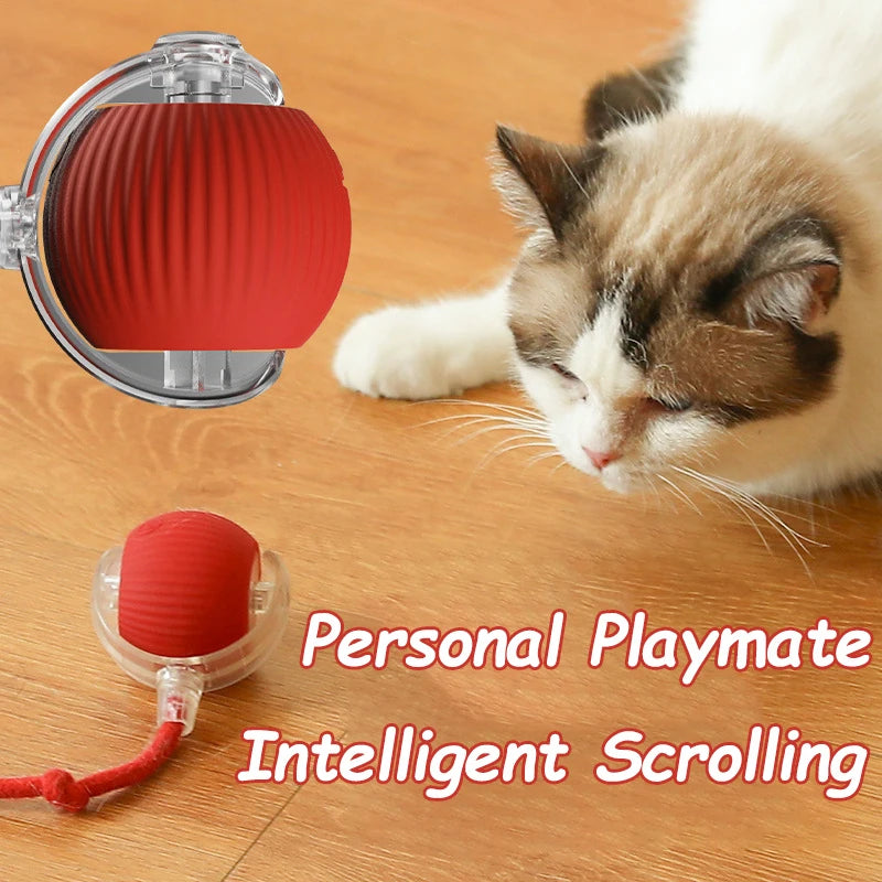 Interactive Cat Toy - Automatic Rolling Ball with Faux Tail Rechargeable Pet Training Device - ZOOMNSTORE