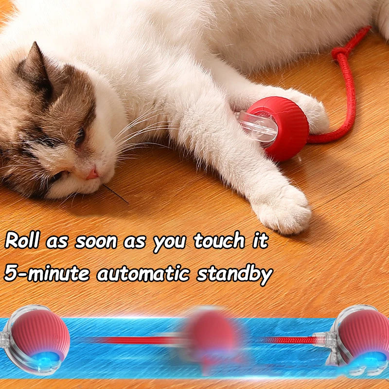 Interactive Cat Toy - Automatic Rolling Ball with Faux Tail Rechargeable Pet Training Device - ZOOMNSTORE