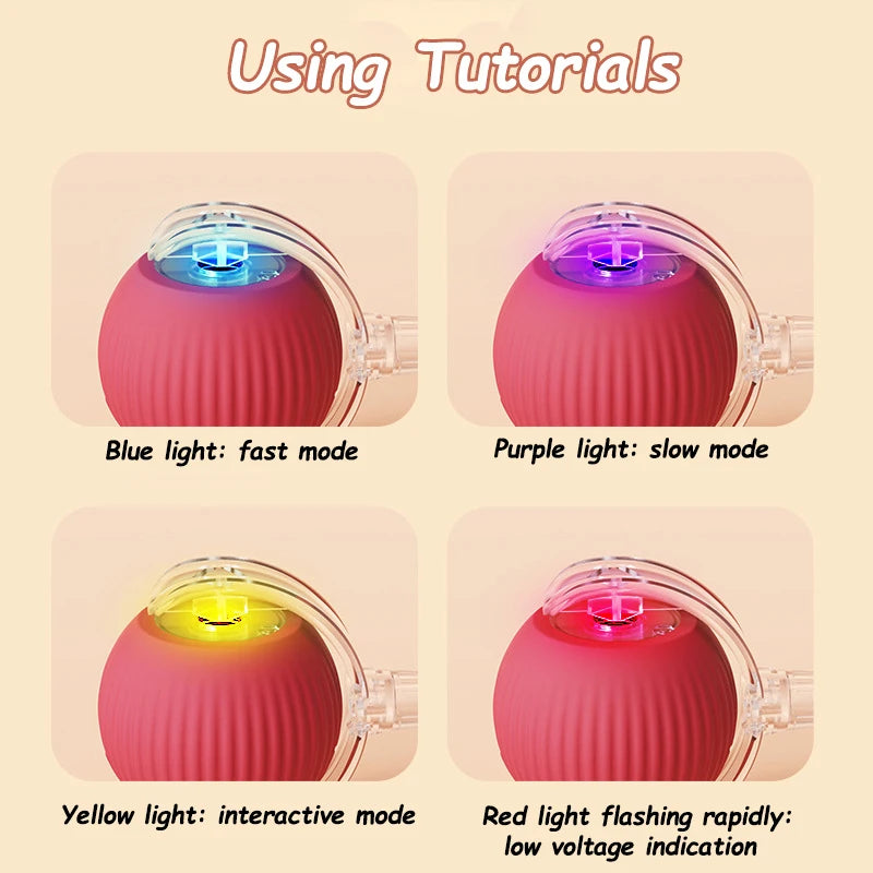 Interactive Cat Toy - Automatic Rolling Ball with Faux Tail Rechargeable Pet Training Device - ZOOMNSTORE
