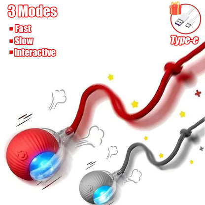 Interactive Cat Toy - Automatic Rolling Ball with Faux Tail Rechargeable Pet Training Device - ZOOMNSTORE