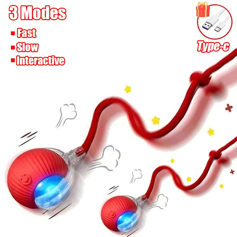 Interactive Cat Toy - Automatic Rolling Ball with Faux Tail Rechargeable Pet Training Device - ZOOMNSTORE