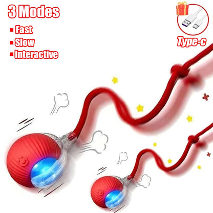 Interactive Cat Toy - Automatic Rolling Ball with Faux Tail Rechargeable Pet Training Device - ZOOMNSTORE