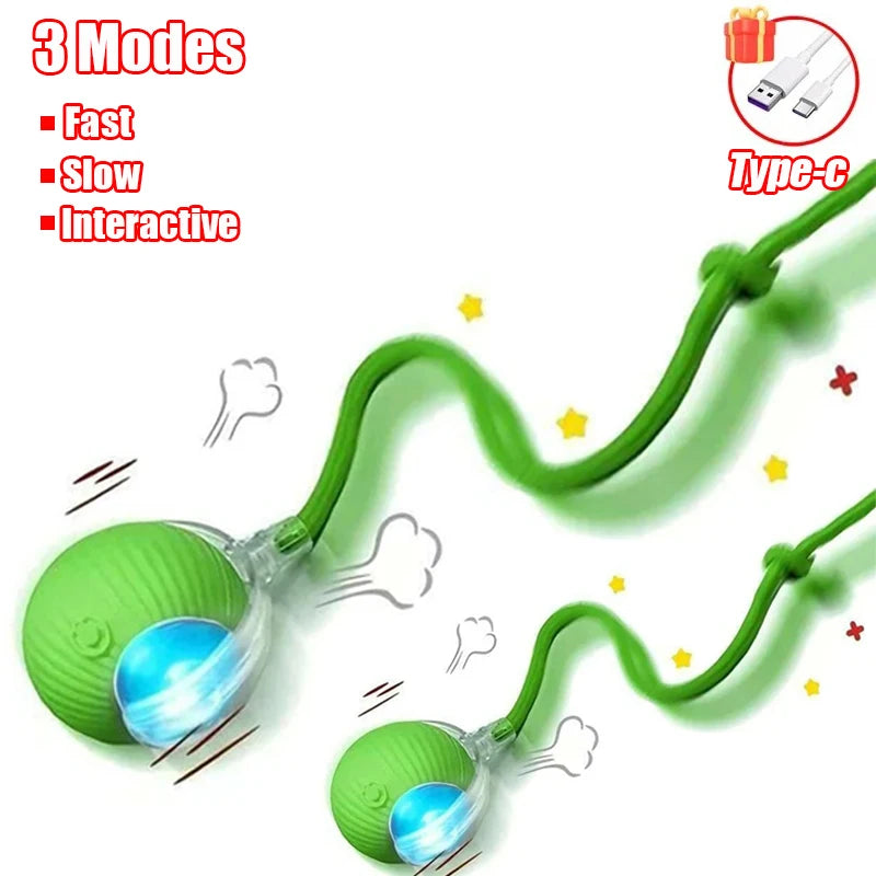 Interactive Cat Toy - Automatic Rolling Ball with Faux Tail Rechargeable Pet Training Device - ZOOMNSTORE