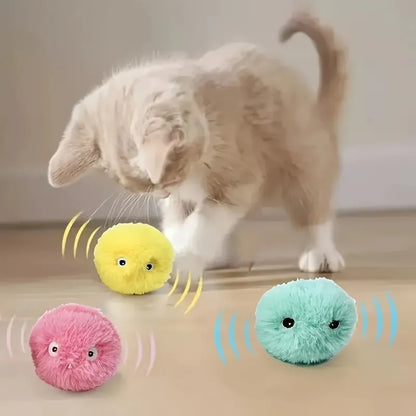 Interactive Cat Toy - Electric Plush Catnip Squeak Ball for Kitten Training - ZOOMNSTORE