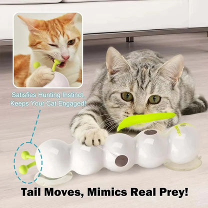 Interactive Cat Toy – Motion Activated Rechargeable Wack A Worm Teasing Toy - ZOOMNSTORE