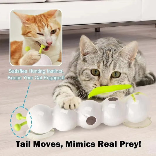 Interactive Cat Toy – Motion Activated Rechargeable Wack A Worm Teasing Toy - ZOOMNSTORE