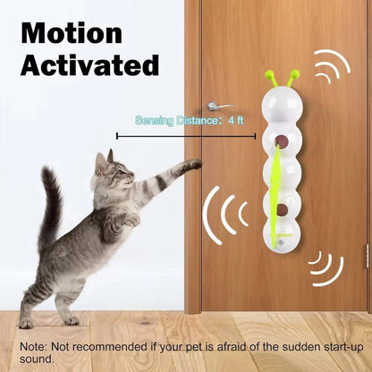 Interactive Cat Toy – Motion Activated Rechargeable Wack A Worm Teasing Toy - ZOOMNSTORE