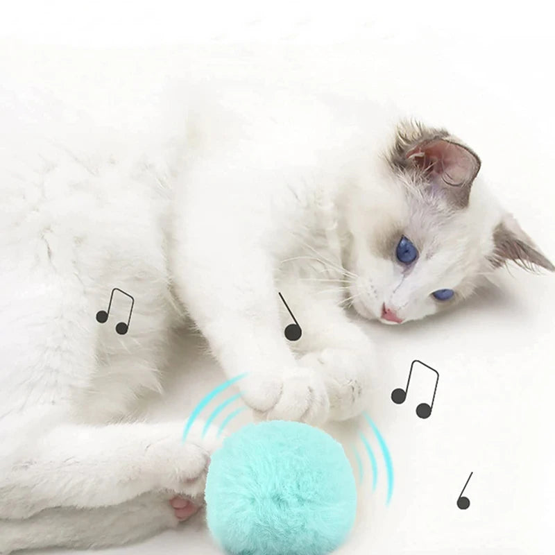 Interactive Cat Toy - Plush Electric Catnip Squeak Ball - ZOOMNSTORE