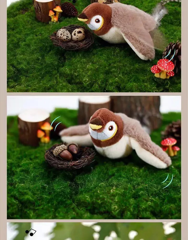 ZOOMNSTORE