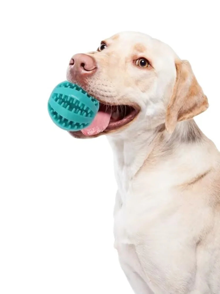Interactive Dog Toy - Rubber Pet Ball Chew Toy for Puppies & Cats | Treat Feeder - ZOOMNSTORE