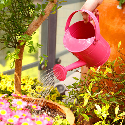 Iron Watering Can - Garden Watering Can with Nozzle, 1.5L Metal Plant Pot - ZOOMNSTORE