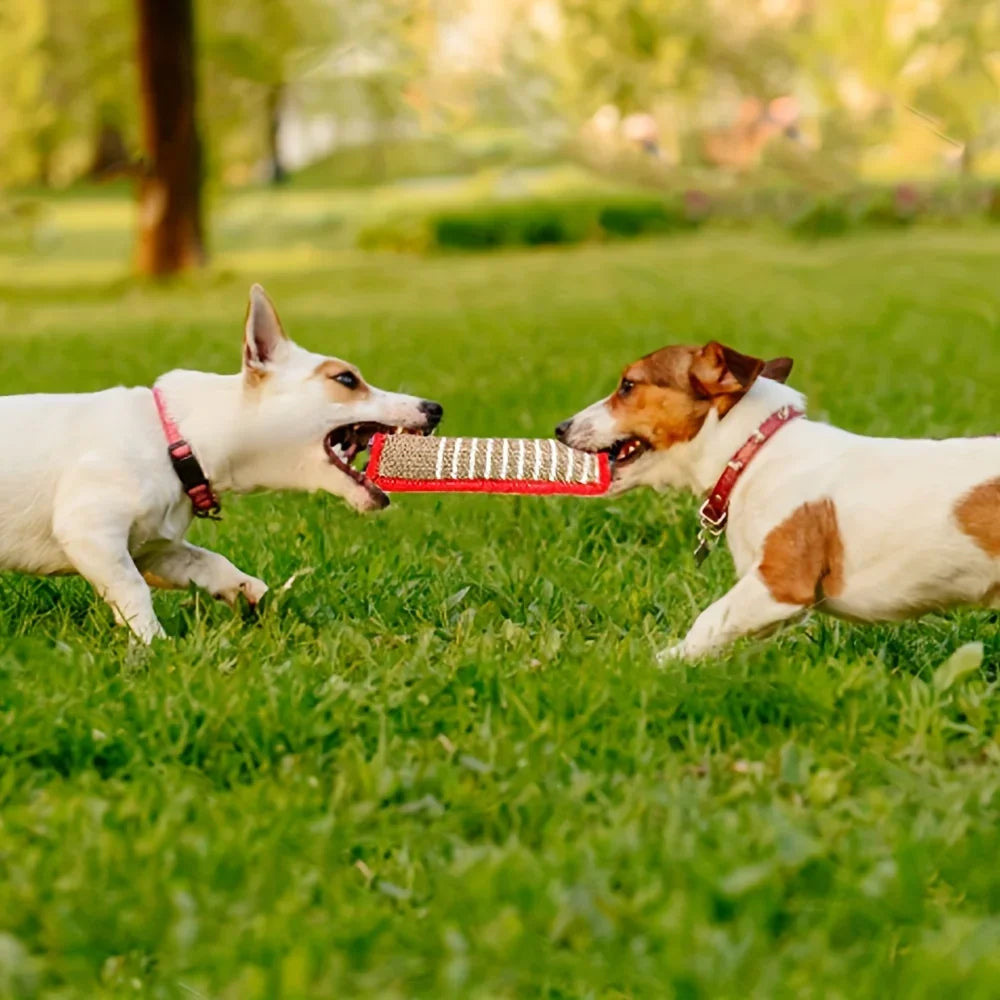 Durable Jute Dog Chew Toy - Bite-Resistant Teething Stick for Puppies  Adult Dogs - ZOOMNSTORE
