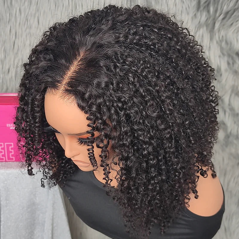 Kinky Curly Wigs - Glueless Human Hair 13x6 Lace Frontal, 7x5 HD Closure - ZOOMNSTORE