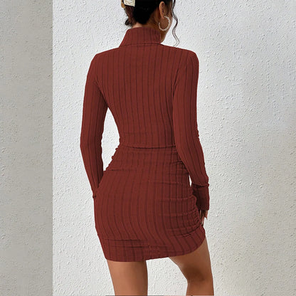 Knitted Mini Dress - Elegant Bodycon Sheath Dress With Turtleneck & Long Sleeves - ZOOMNSTORE