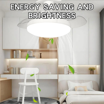 30W LED Ceiling Fan Light with Remote - Dimmable E27 for Living Room  Study 110-265V - ZOOMNSTORE