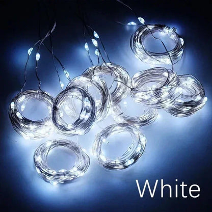 3M LED Fairy String Lights - USB Holiday Garland for Home Garden Christmas Party Wedding - ZOOMNSTORE