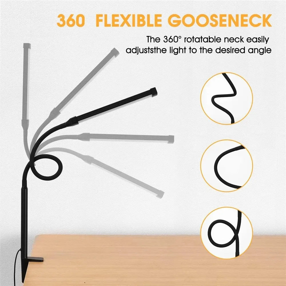 LED Desk Lamp Double Head Architect Light - Adjustable Gooseneck, Eye Caring, Stepless Dimming - ZOOMNSTORE