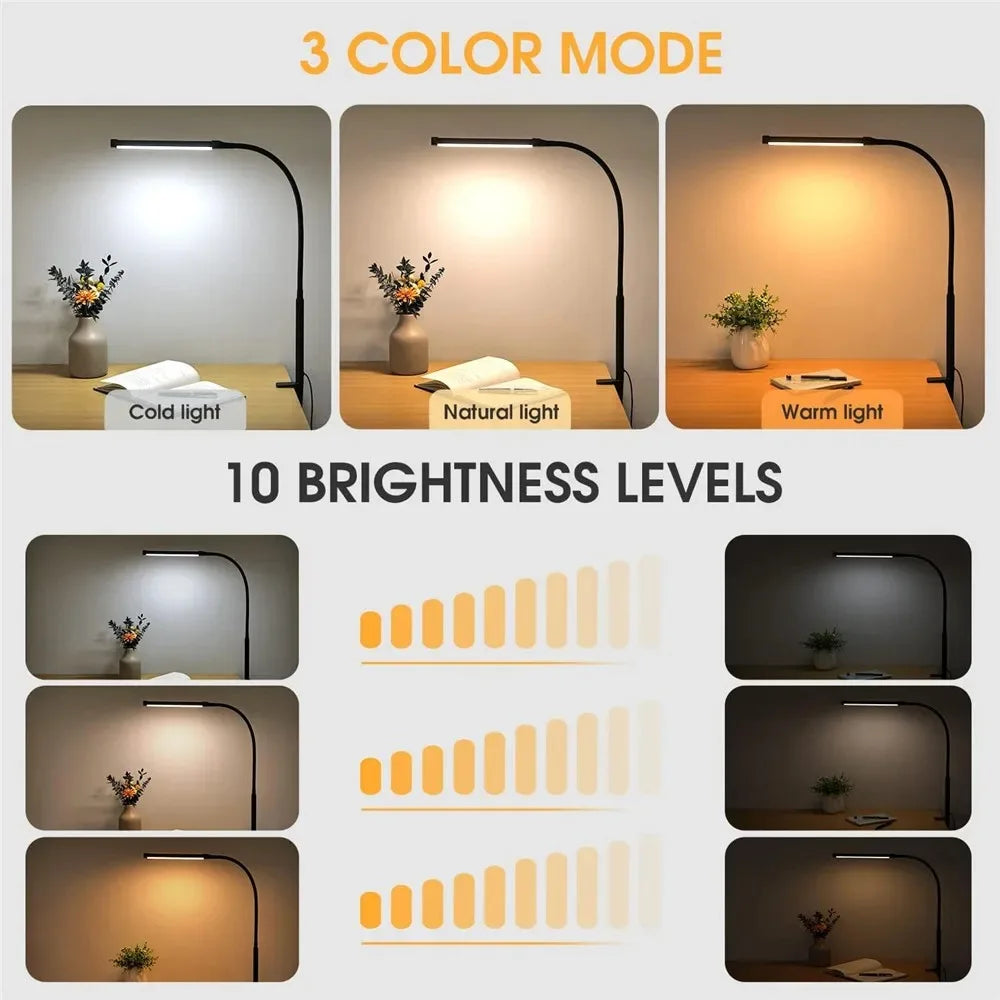 LED Desk Lamp Double Head Architect Light - Adjustable Gooseneck, Eye Caring, Stepless Dimming - ZOOMNSTORE