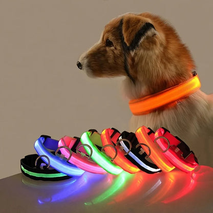 LED Glow-in-the-Dark Dog Leash  Collar - Nylon Safety Pet Gear - ZOOMNSTORE