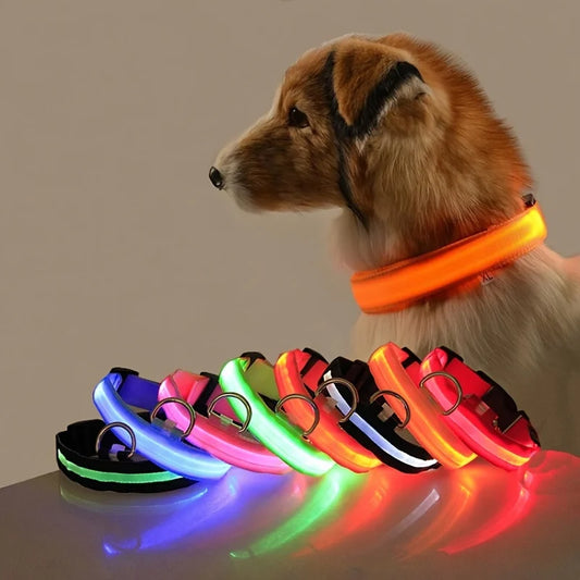 LED Glow-in-the-Dark Dog Leash  Collar - Nylon Safety Pet Gear - ZOOMNSTORE