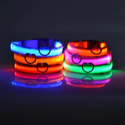 LED Glow-in-the-Dark Dog Leash  Collar - Nylon Safety Pet Gear - ZOOMNSTORE