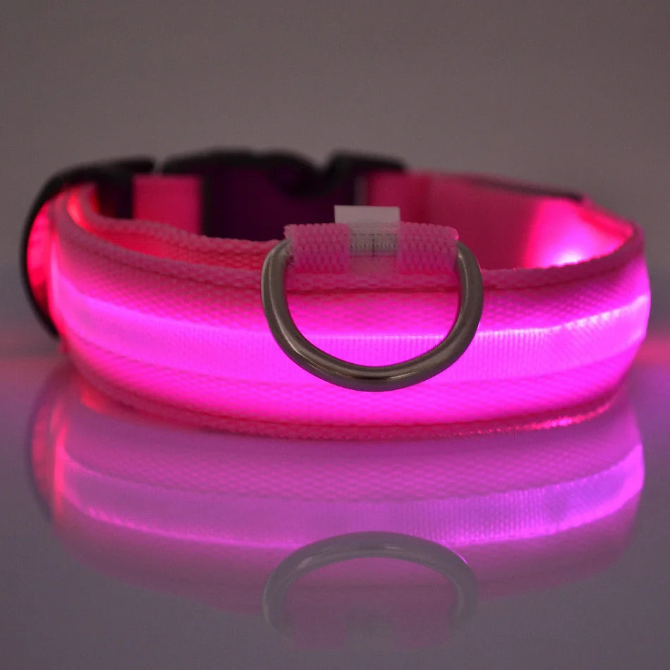 LED Glow-in-the-Dark Dog Leash  Collar - Nylon Safety Pet Gear - ZOOMNSTORE