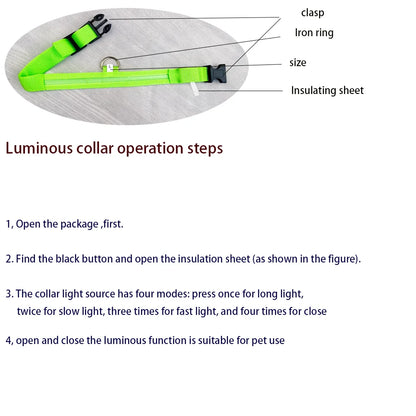 LED Glow-in-the-Dark Dog Leash  Collar - Nylon Safety Pet Gear - ZOOMNSTORE