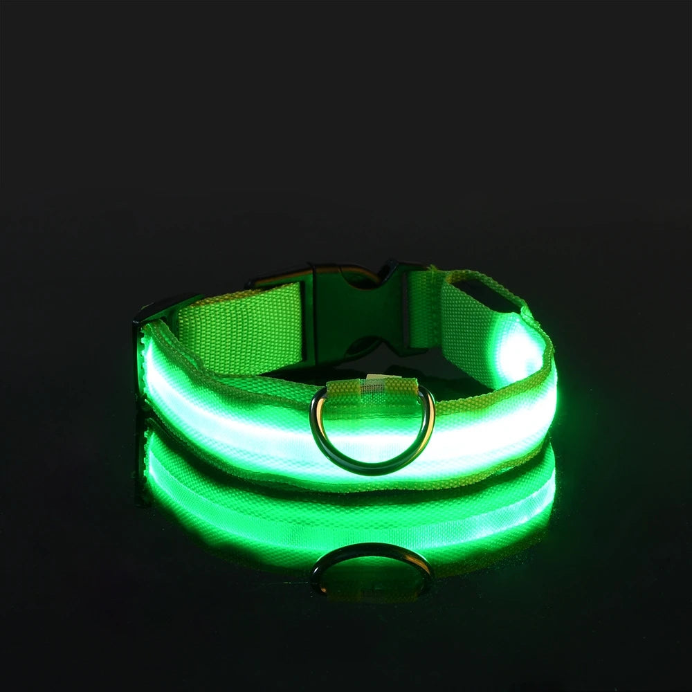 LED Glow-in-the-Dark Dog Leash  Collar - Nylon Safety Pet Gear - ZOOMNSTORE