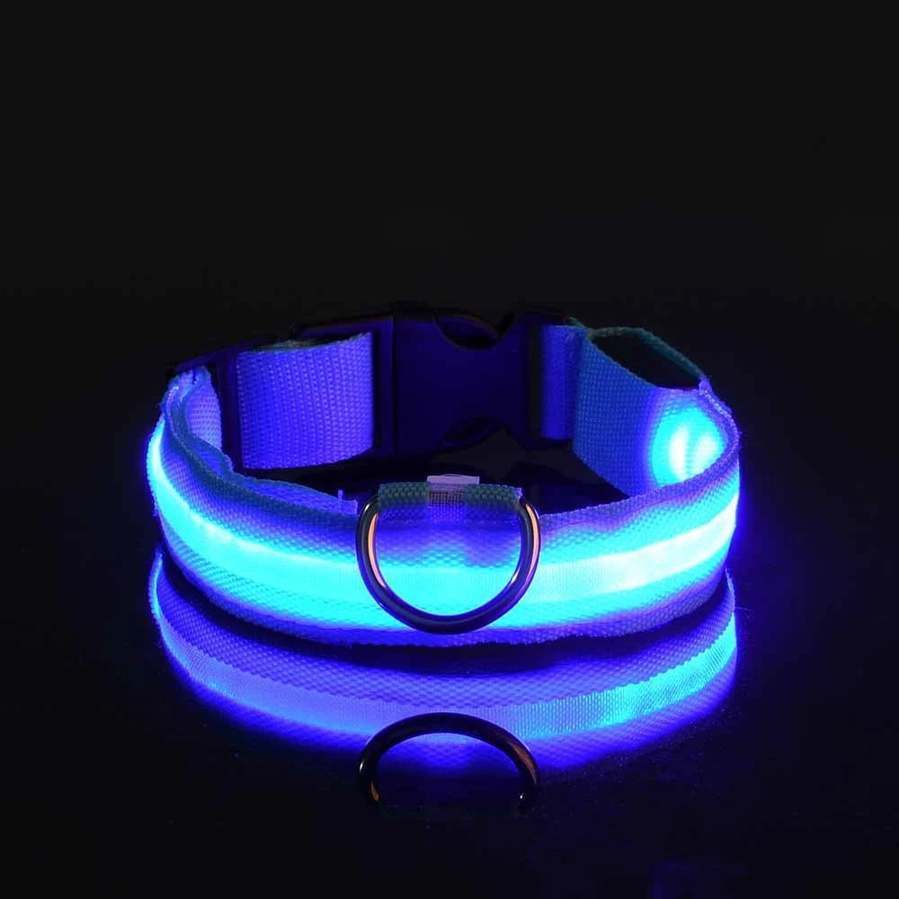 LED Glow-in-the-Dark Dog Leash  Collar - Nylon Safety Pet Gear - ZOOMNSTORE