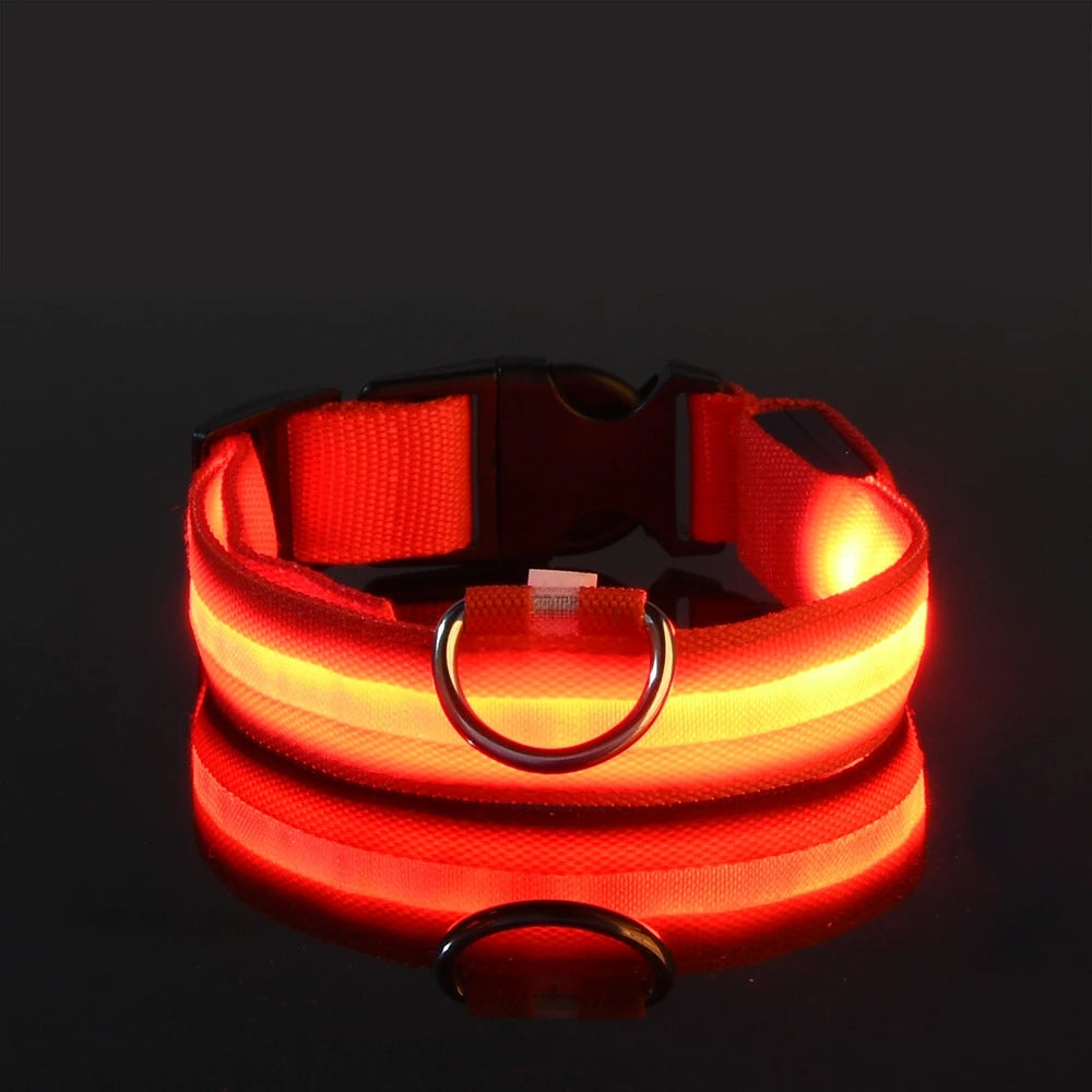 LED Glow-in-the-Dark Dog Leash  Collar - Nylon Safety Pet Gear - ZOOMNSTORE