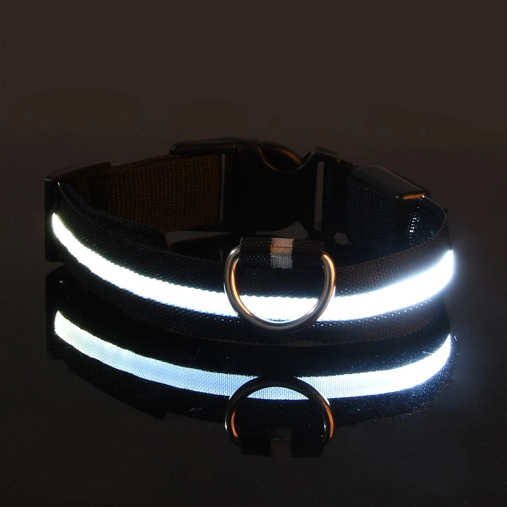 LED Glow-in-the-Dark Dog Leash  Collar - Nylon Safety Pet Gear - ZOOMNSTORE