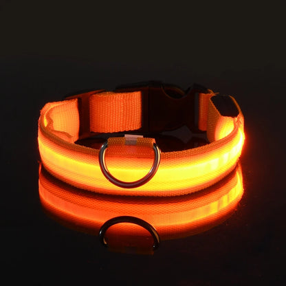 LED Glow-in-the-Dark Dog Leash  Collar - Nylon Safety Pet Gear - ZOOMNSTORE