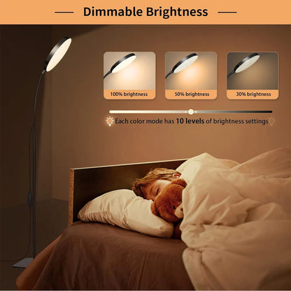 Dimmable LED Floor Lamp - Flexible Gooseneck Reading Light for Indoor Use - ZOOMNSTORE