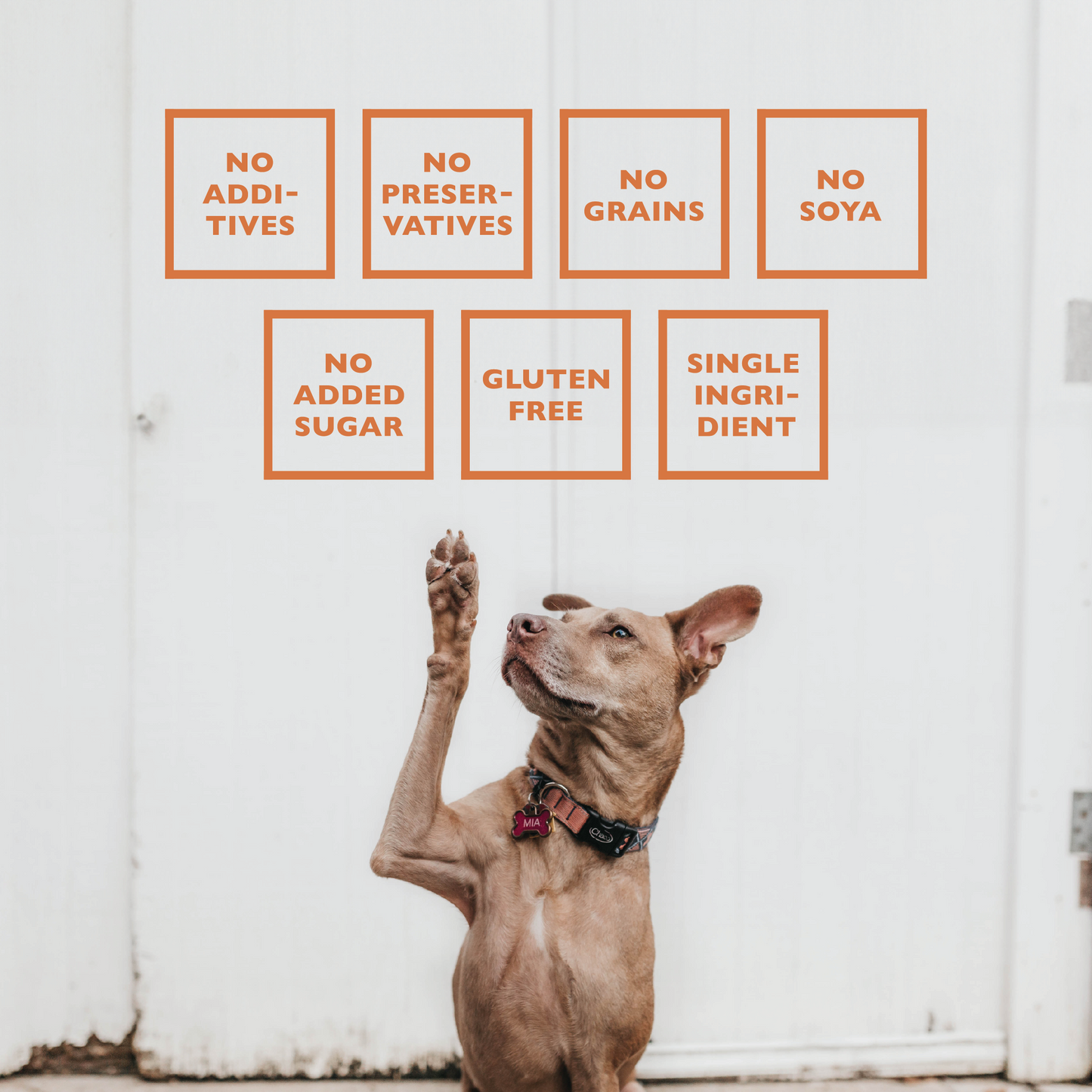 BAFFS NATURALS Lamb Lung Training Bites – All-Natural, Protein-Packed Dog Treats (7oz Bag) - ZOOMNSTORE