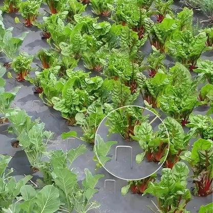 Heavy Duty Landscape Staples - 100pcs U-Shaped Garden Pins for Securing Weed Barriers and Tent Stakes - ZOOMNSTORE