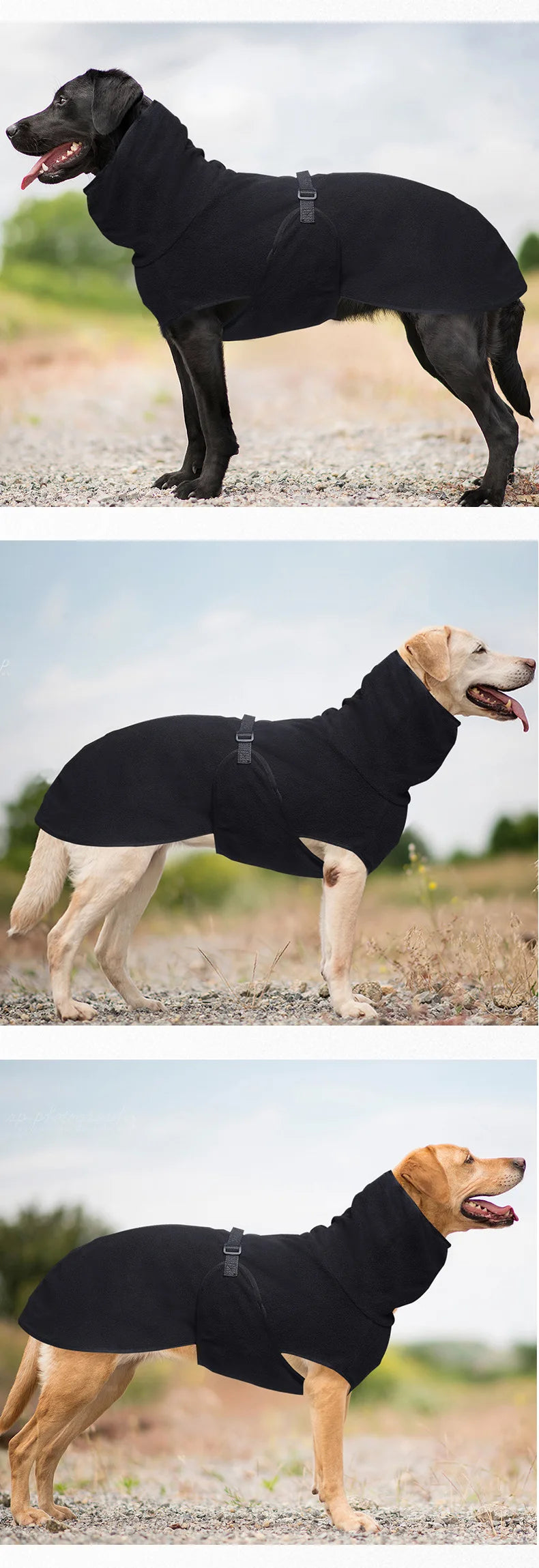 Large Dog Winter Jacket - Insulated Polyester Vest for Medium Large Dogs | Warm Dog Coat - ZOOMNSTORE