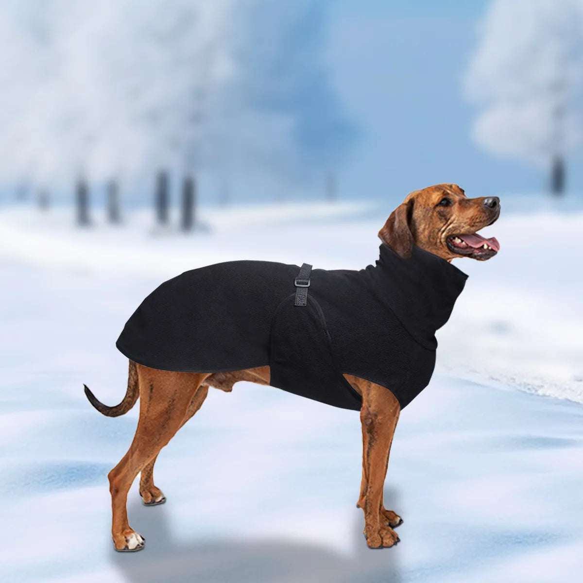Large Dog Winter Jacket - Insulated Polyester Vest for Medium Large Dogs | Warm Dog Coat - ZOOMNSTORE
