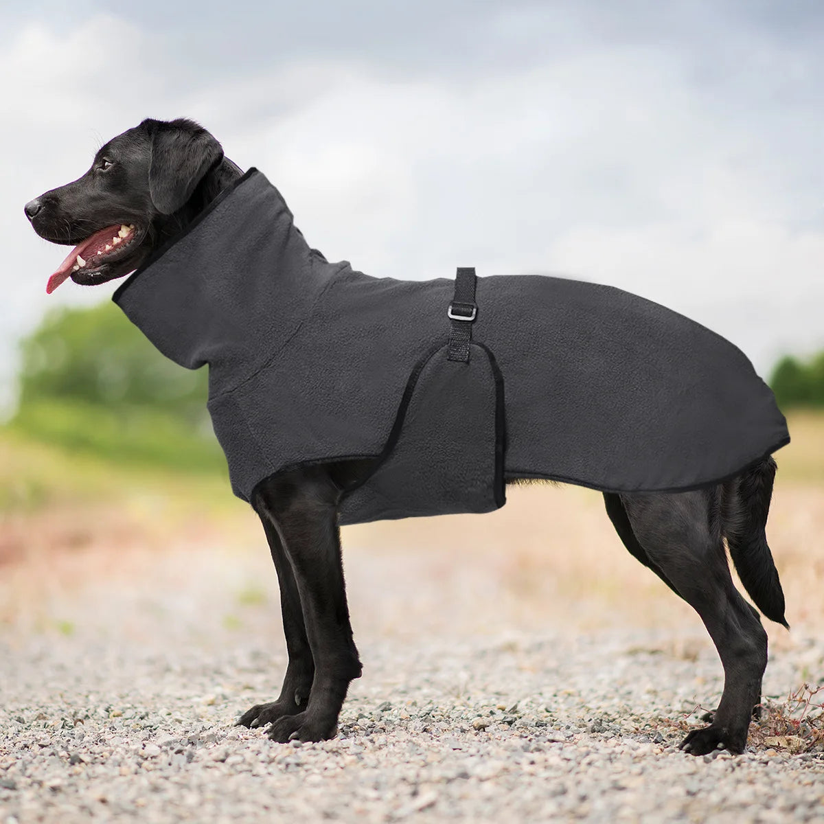 Large Dog Winter Jacket - Insulated Polyester Vest for Medium Large Dogs | Warm Dog Coat - ZOOMNSTORE