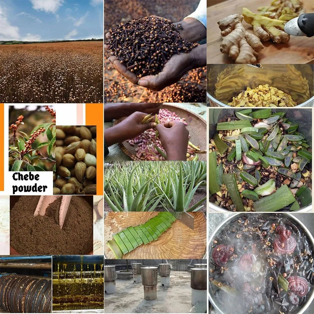 African Traditional Layden Oil - Scalp  Hair Strengthening Treatment 17 Fl Oz - ZOOMNSTORE