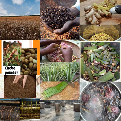 African Traditional Layden Oil - Scalp  Hair Strengthening Treatment 17 Fl Oz - ZOOMNSTORE