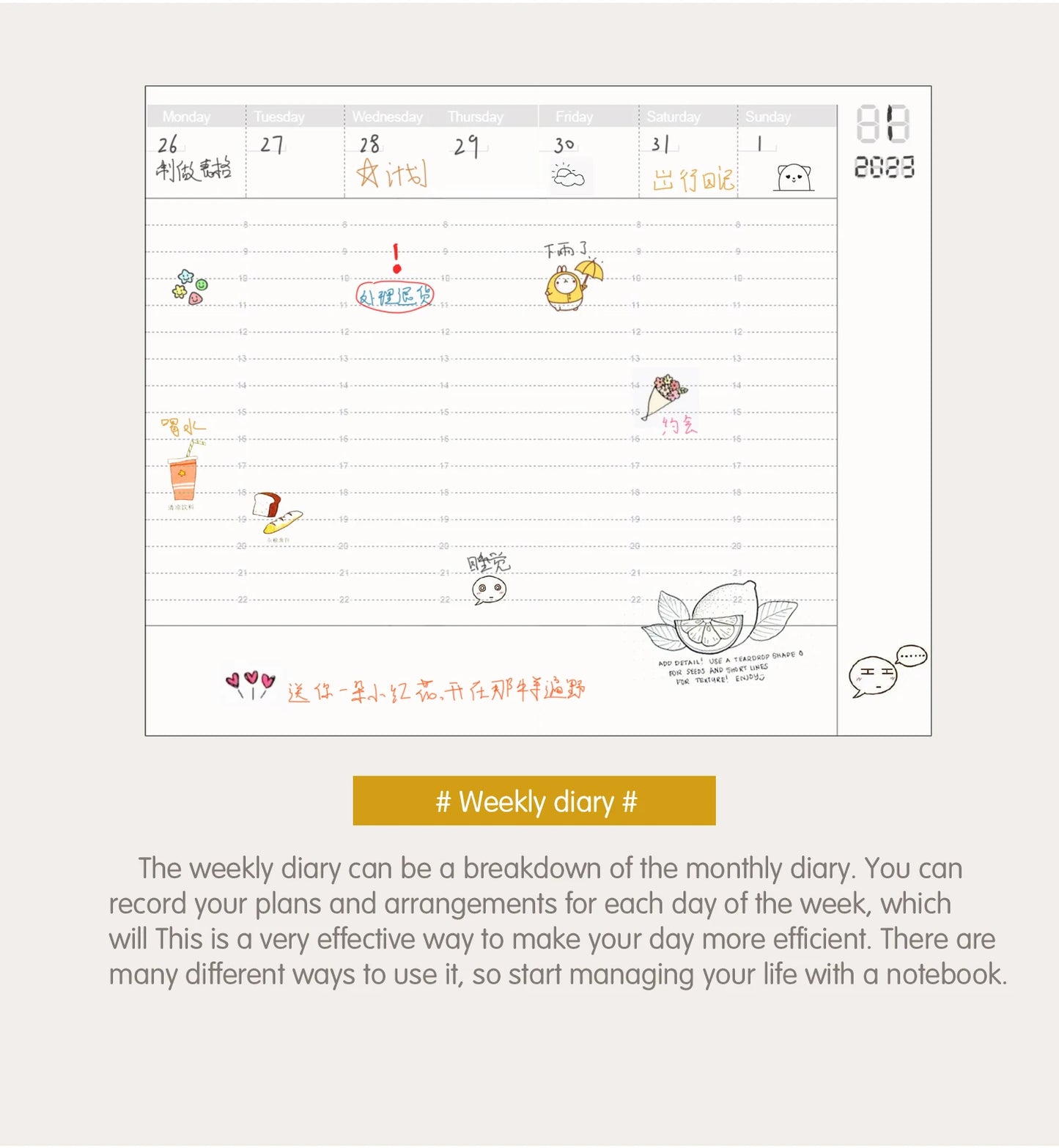 Leather Notebook Refill – Moterm Traveler Notebook Inserts A5 Passport Size Planner - ZOOMNSTORE