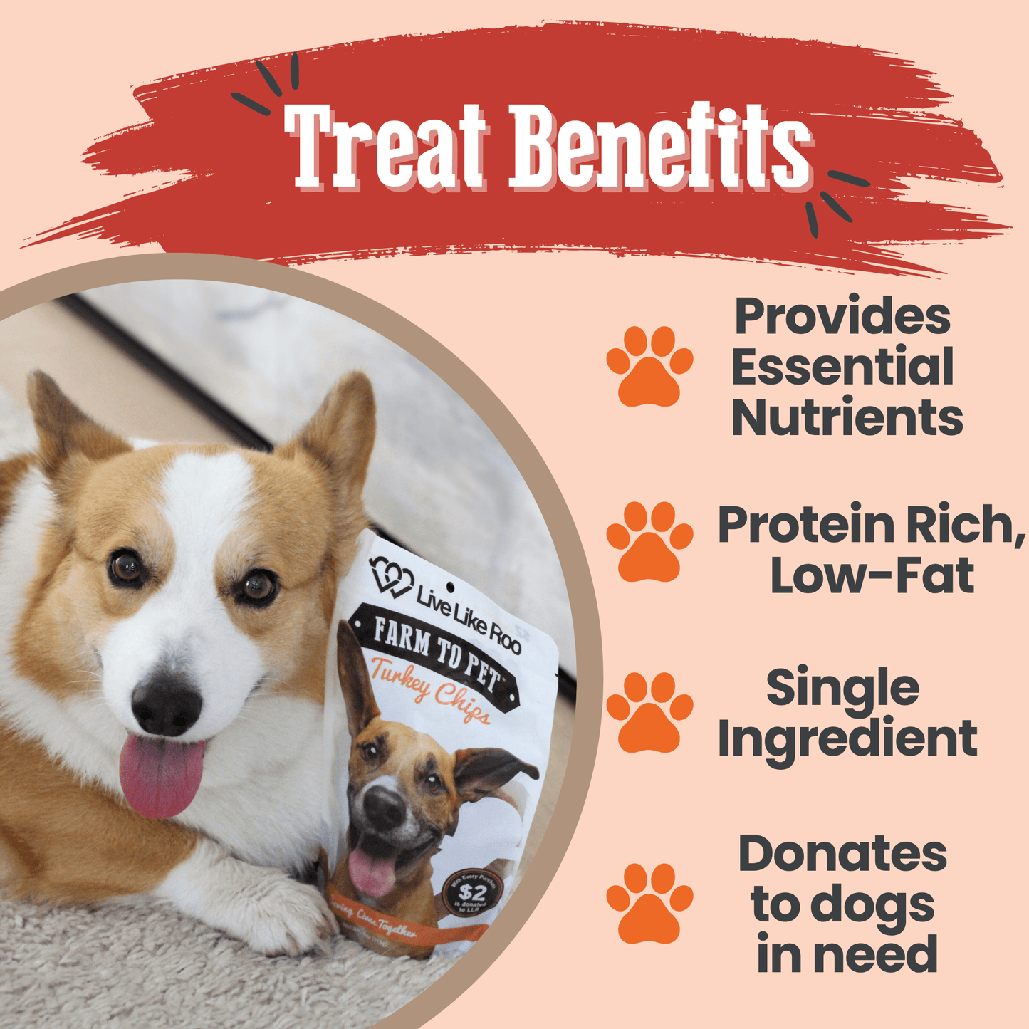 Live Like Roo Turkey Chips for Dogs | Dog Treats That Give Back - ZOOMNSTORE