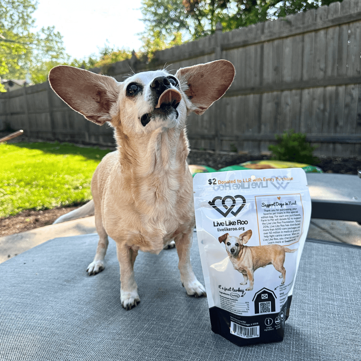 Live Like Roo Turkey Chips for Dogs | Dog Treats That Give Back - ZOOMNSTORE