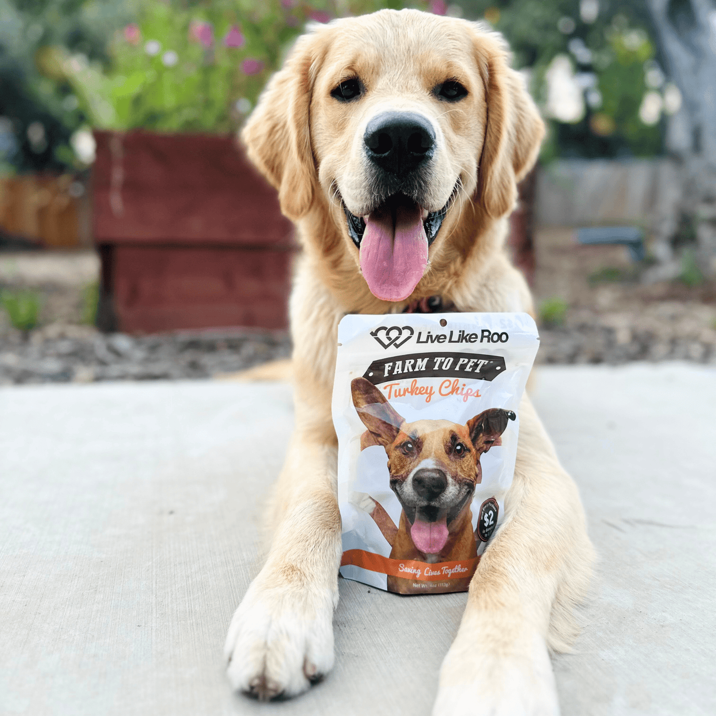 Live Like Roo Turkey Chips for Dogs | Dog Treats That Give Back - ZOOMNSTORE